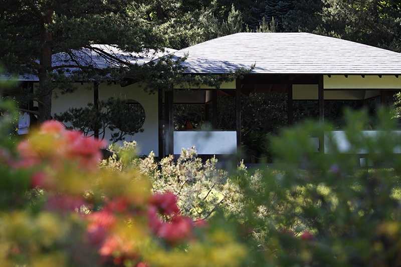 Куда пойти весной? Японский сад в ГБС 