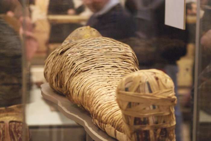 В аэропорту Каира обнаружили древнейших мумий, которых хотели вывезти из страны Интересное