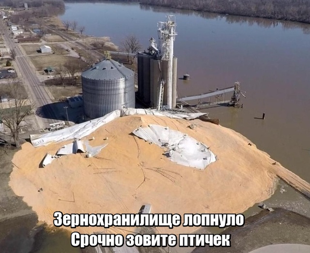 Подборка прикольных фото №2083 юмор, приколы,, Юмор