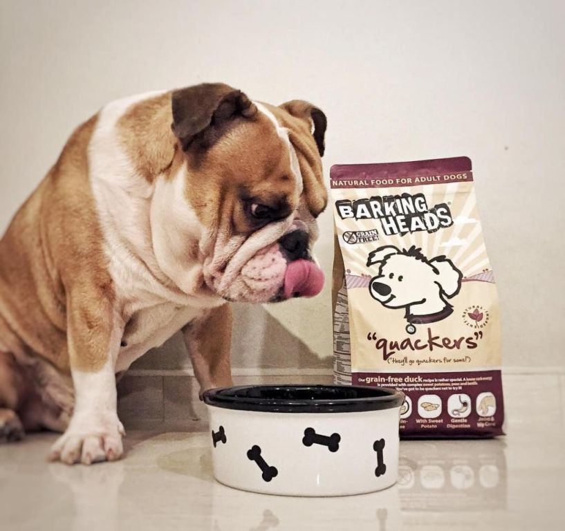 Корм Barking Heads для собак: разбор состава, отзывы зверушки,живность,питомцы, Животные