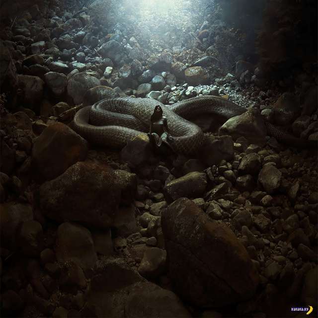 Рисует Michal Karcz Интересное