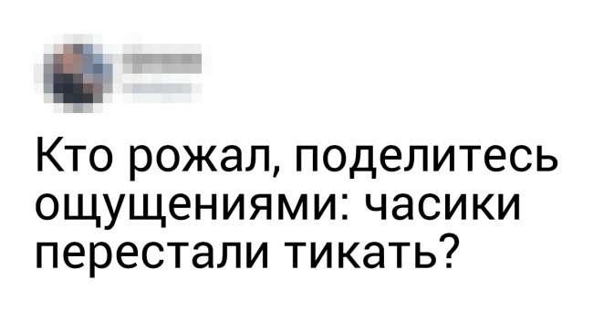 17 твитов от остряков, которые рубят правду-матку обо всем вокруг Интересное