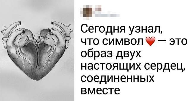 18 пользователей сети, которые знают об этом мире больше, чем гугл интересное