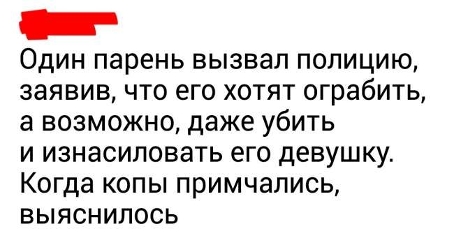 Полицейские рассказали об абсурдных ситуациях, которые произошли во время их службы Интересное