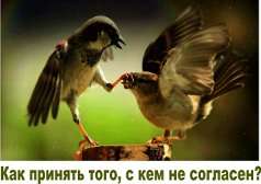 Сидят два воробья на крыше ЗАГСа анекдоты