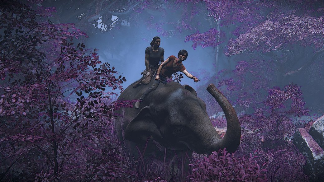Как слоновья задница почти помешала созданию одной из лучших сцен Uncharted: The Lost Legacy Uncharted: The Lost Legacy
