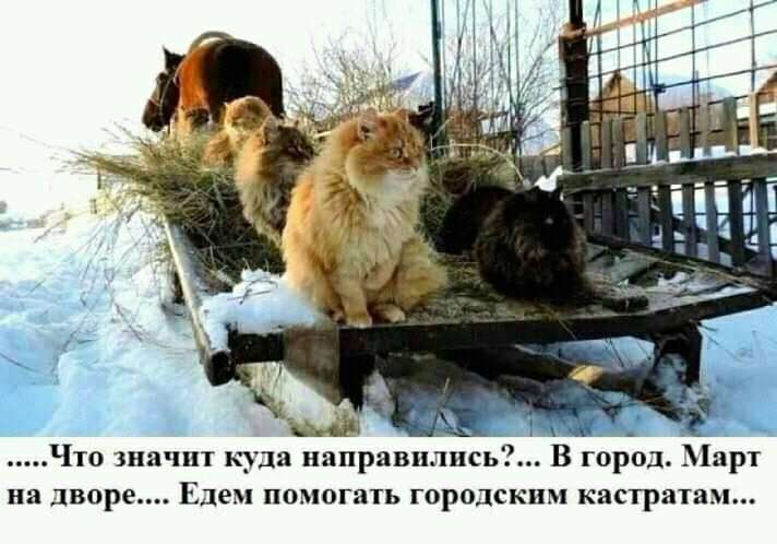 Решила жена заглянуть к своему мужу — директору фирмы на работу… юмор, приколы,, Юмор