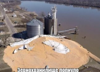 Підбірка прикольних фото №2083