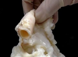 Незвичайний погляд на звичайні речі