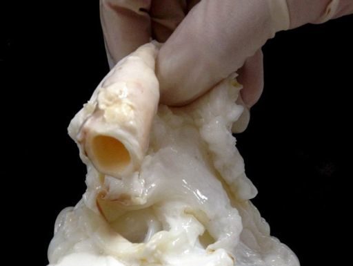 Незвичайний погляд на звичайні речі