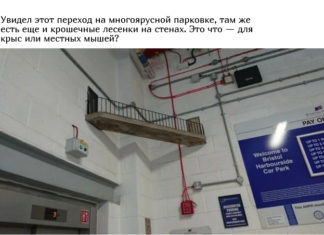 Люди запитують: Що це таке?