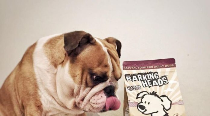 Корм Barking Heads для собак: розбір складу, відгуки