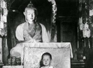 25 милих дітей і підлітків задовго до того, як вони стали всесвітньо відомими