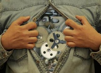 Розпорядок дня нашого організму