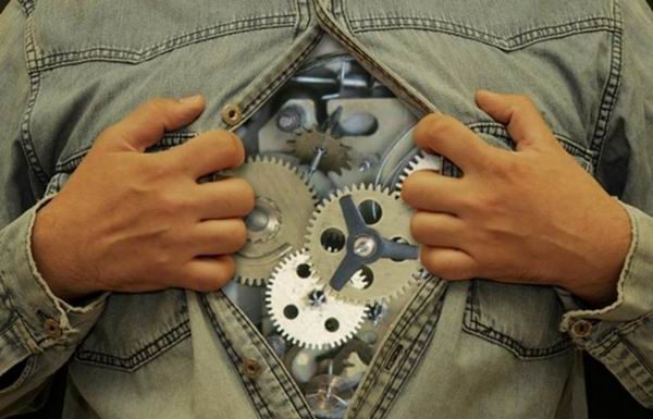 Розпорядок дня нашого організму