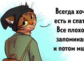 12 прикладів, які показують, що в нас із тваринами занадто багато спільного
