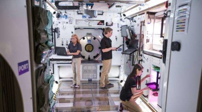 Lockheed Martin створила повнорозмірний прототип житлового модуля навколомісячній станції Gateway