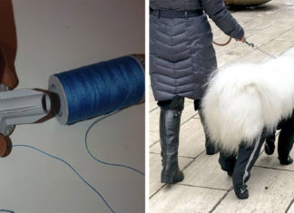 24 користувача мережі, які стоять на порозі грандіозного відкриття