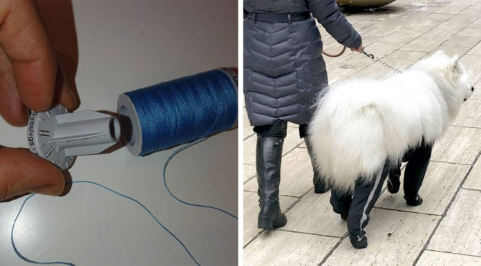 24 користувача мережі, які стоять на порозі грандіозного відкриття