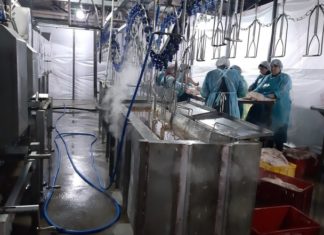 У Північній Осетії запустили нове виробництво качиного мяса