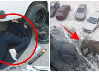 І тут я зрозумів, що мені все одно ніхто не повірить