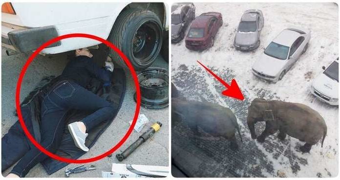 І тут я зрозумів, що мені все одно ніхто не повірить