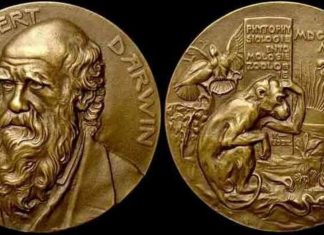 Топ 10 смертей премії Дарвіна