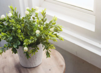 Тримайте в спальні жасмин. Він знижує тривожність