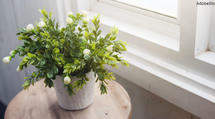 Тримайте в спальні жасмин. Він знижує тривожність