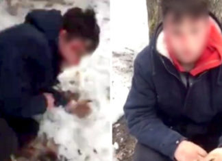 Воронежців покарали хлопця, який побив діда, і змусили його вибачитися на камеру