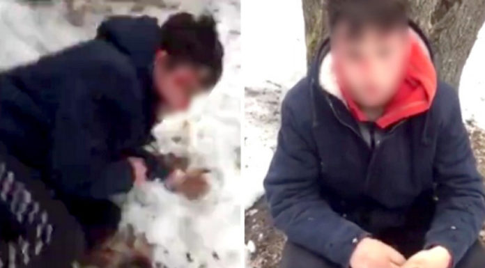 Воронежців покарали хлопця, який побив діда, і змусили його вибачитися на камеру