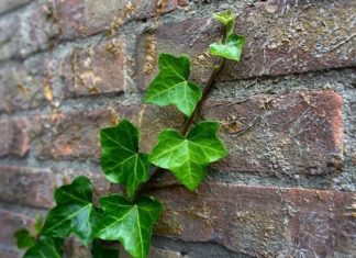 Чотири простих способи «проникнути» в престижний універ