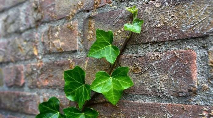 Чотири простих способи «проникнути» в престижний універ