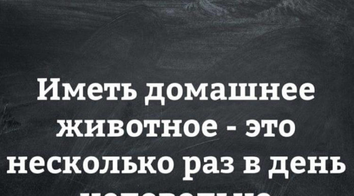 18 сміховинних приколів від реальних людей