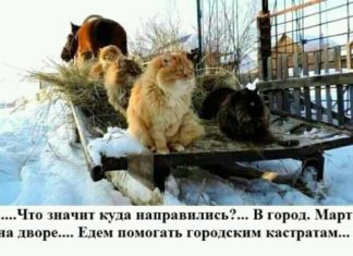 Вирішила дружина заглянути до свого чоловіка — директорові фірми на роботу…