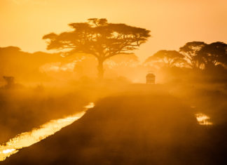 Факти про Африку: розвінчуємо 8 найпоширеніших міфів