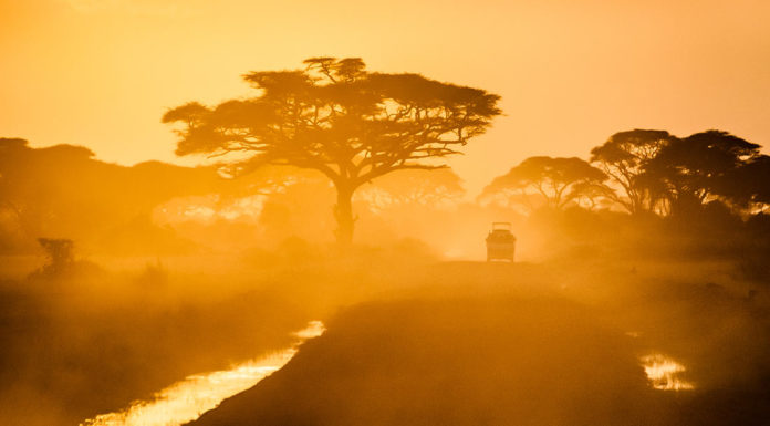 Факти про Африку: розвінчуємо 8 найпоширеніших міфів