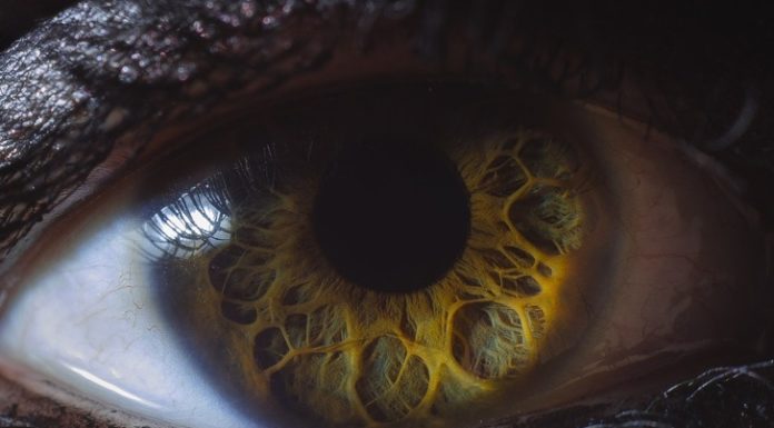 18 доказів, що в світі стільки всього незвичайного, тільки встигай помічати