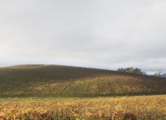 Безтурботність