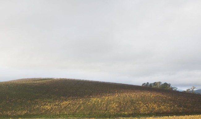 Безтурботність