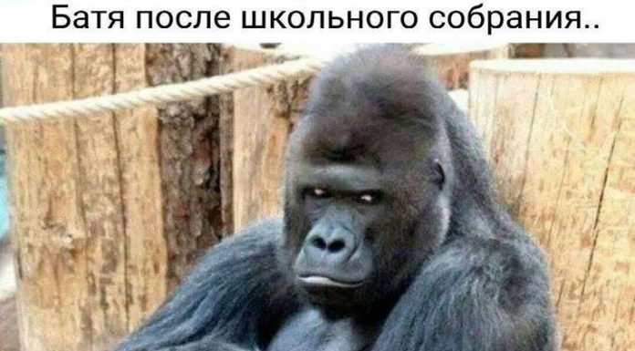 Якщо ви сімєю виїхали на природу, памятайте, що незнайомий водойма треба заходити поступово…