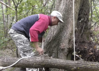 Царський схрон у колодязі: знахідка шукачів скарбів