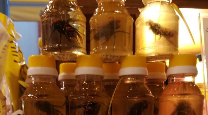 Мед з Японії з особливим інгредієнтом, який є не рекомендується