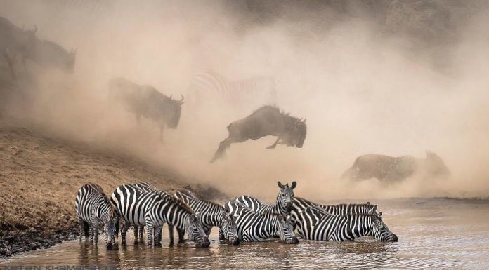 30 найбільш приголомшливих фото, які були опубліковані в National Geographic