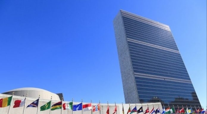 Росія в Радбезі ООН розгромила казкарів, жодного разу не відвідали Крим