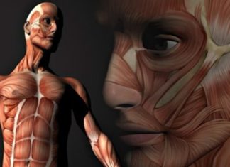 10 вражаючих фактів про нашому тілі