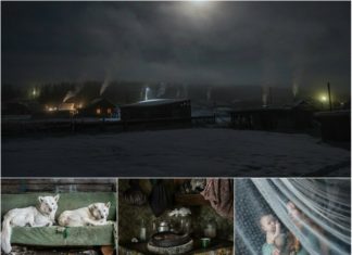 Життя далекого тайгового селища на знімках Олени Аносовой