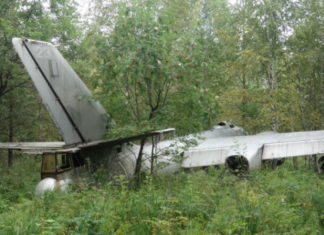 Літак-привид часів Другої світової: випадкова знахідка грибника