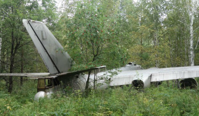 Літак-привид часів Другої світової: випадкова знахідка грибника