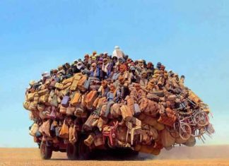 Як зробити транспорт гумовим: світовий досвід